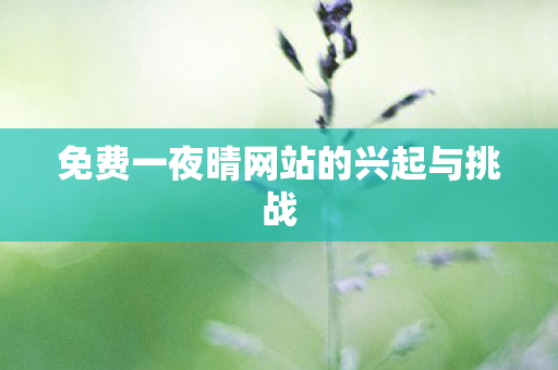 免费一夜晴网站的兴起与挑战