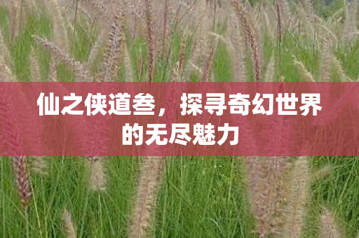 仙之侠道叁，探寻奇幻世界的无尽魅力