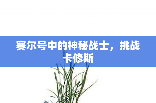 赛尔号中的神秘战士，挑战卡修斯
