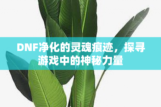 DNF净化的灵魂痕迹，探寻游戏中的神秘力量