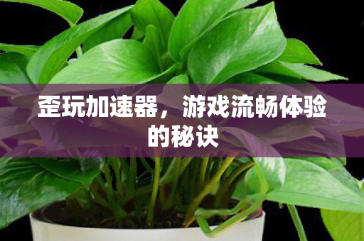 歪玩加速器，游戏流畅体验的秘诀