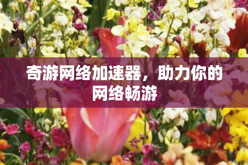 奇游网络加速器，助力你的网络畅游
