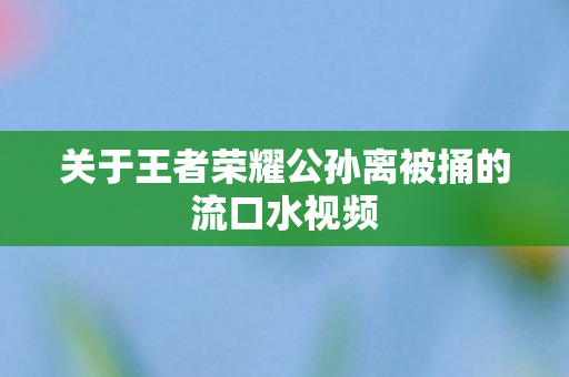 关于王者荣耀公孙离被捅的流口水视频