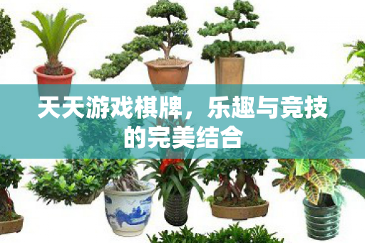 天天游戏棋牌，乐趣与竞技的完美结合