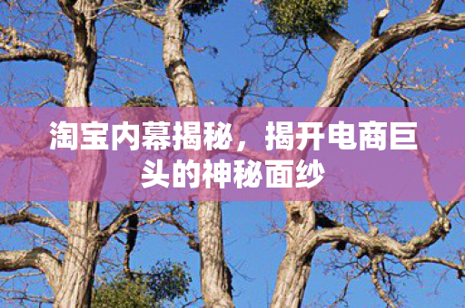 淘宝内幕揭秘，揭开电商巨头的神秘面纱
