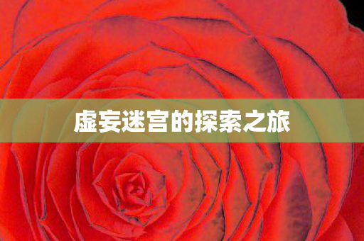 虚妄迷宫的探索之旅