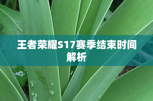 王者荣耀S17赛季结束时间解析