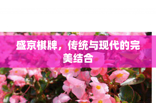 盛京棋牌，传统与现代的完美结合