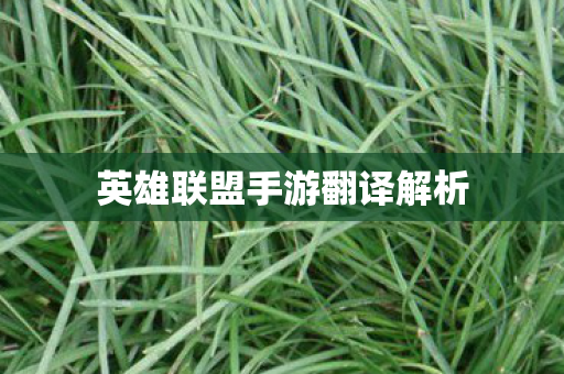 英雄联盟手游翻译解析