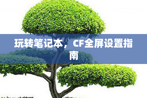 玩转笔记本，CF全屏设置指南