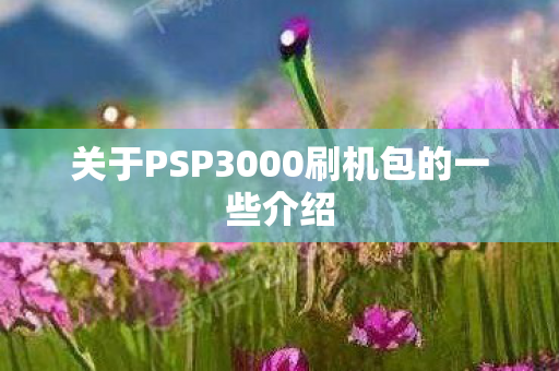 关于PSP3000刷机包的一些介绍