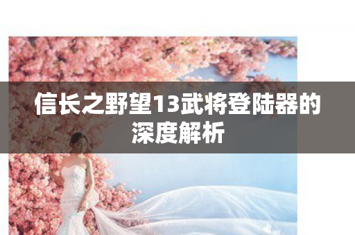 信长之野望13武将登陆器的深度解析