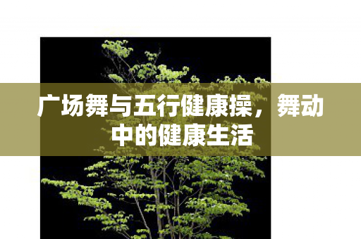 广场舞与五行健康操，舞动中的健康生活