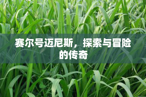 赛尔号迈尼斯，探索与冒险的传奇