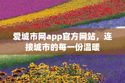 爱城市网app官方网站，连接城市的每一份温暖