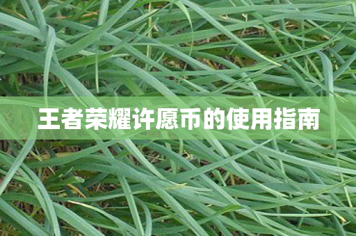 王者荣耀许愿币的使用指南