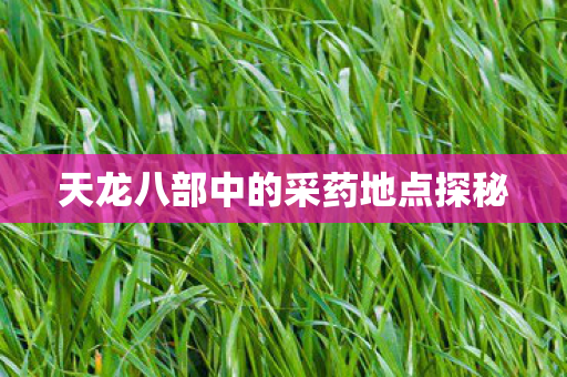 天龙八部中的采药地点探秘