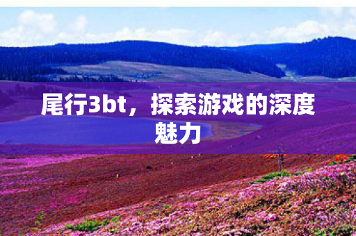 尾行3bt，探索游戏的深度魅力