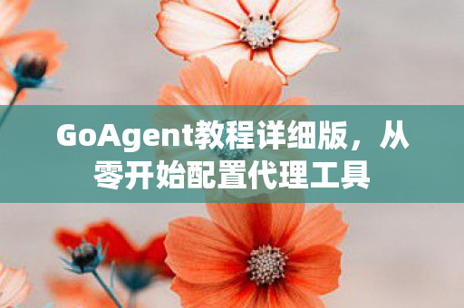 GoAgent教程详细版，从零开始配置代理工具
