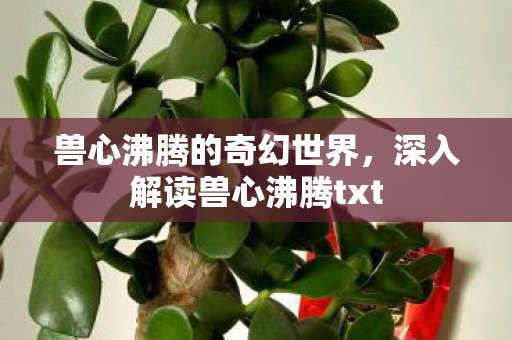 兽心沸腾的奇幻世界，深入解读兽心沸腾txt