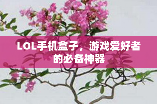 LOL手机盒子，游戏爱好者的必备神器