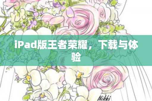 iPad版王者荣耀，下载与体验