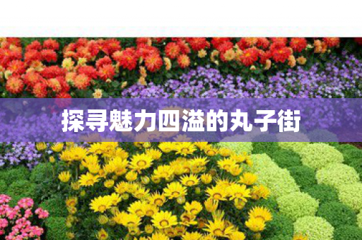 探寻魅力四溢的丸子街