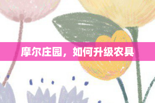 摩尔庄园，如何升级农具