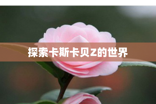 探索卡斯卡贝Z的世界