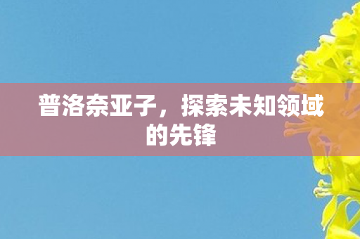 普洛奈亚子，探索未知领域的先锋