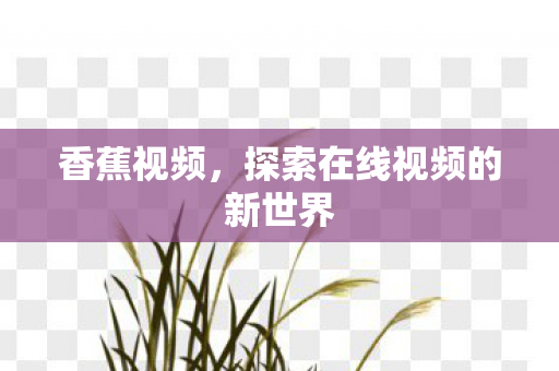 香蕉视频，探索在线视频的新世界