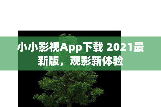 小小影视App下载 2021最新版，观影新体验