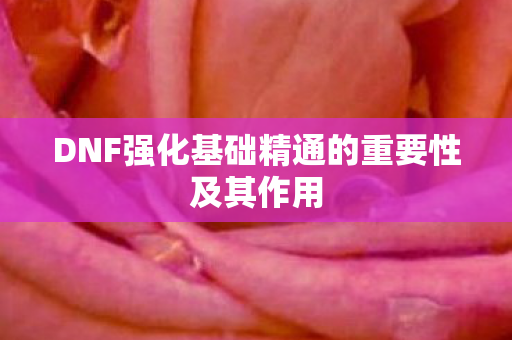 DNF强化基础精通的重要性及其作用