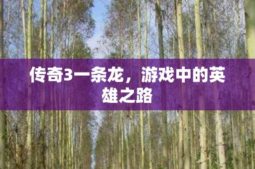 传奇3一条龙，游戏中的英雄之路