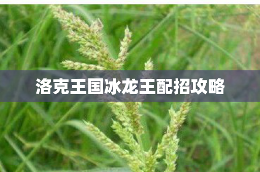 洛克王国冰龙王配招攻略