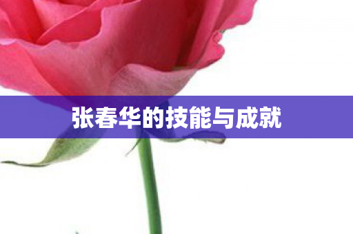 张春华的技能与成就