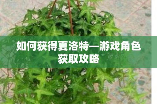 如何获得夏洛特—游戏角色获取攻略