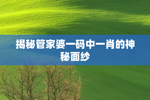 揭秘管家婆一码中一肖的神秘面纱