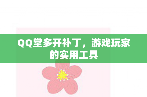 QQ堂多开补丁，游戏玩家的实用工具