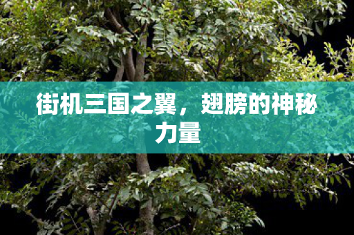 街机三国之翼，翅膀的神秘力量