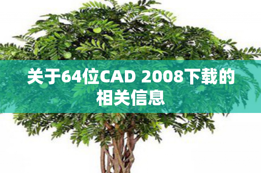 关于64位CAD 2008下载的相关信息