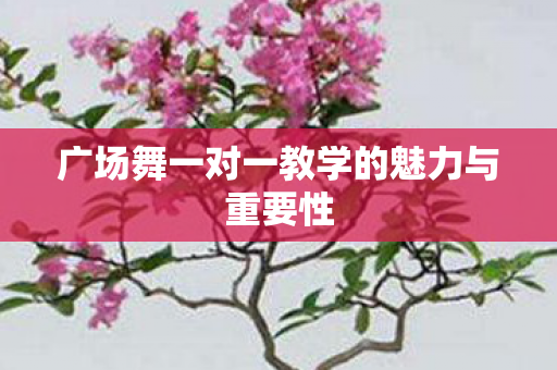 广场舞一对一教学的魅力与重要性