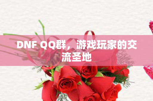 DNF QQ群，游戏玩家的交流圣地