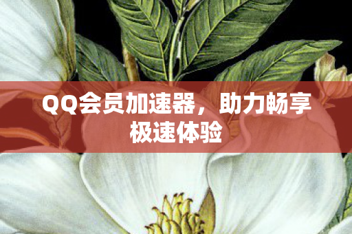 QQ会员加速器，助力畅享极速体验