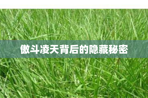 傲斗凌天背后的隐藏秘密