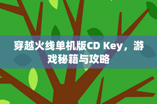 穿越火线单机版CD Key，游戏秘籍与攻略