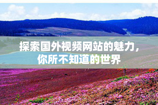 探索国外视频网站的魅力，你所不知道的世界