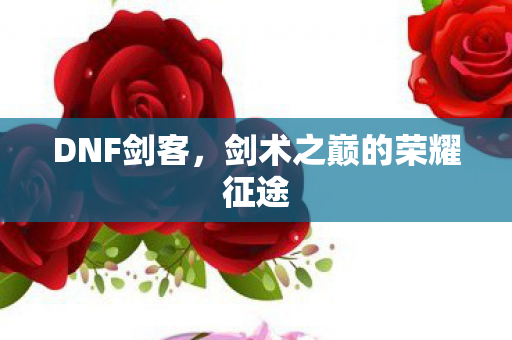 DNF剑客，剑术之巅的荣耀征途
