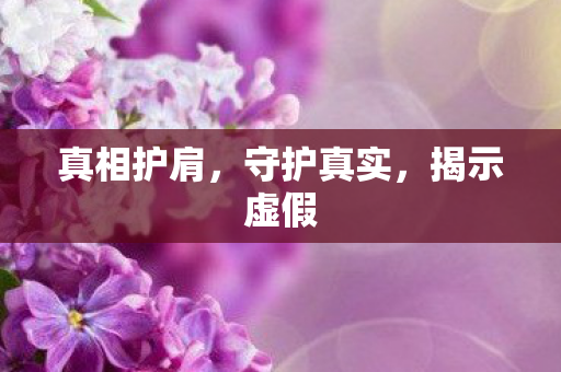 真相护肩，守护真实，揭示虚假