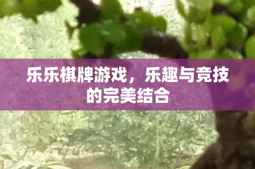 乐乐棋牌游戏，乐趣与竞技的完美结合